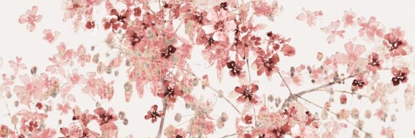Плитка DECOR JASMINE CAYENNE-A S-51 25x75