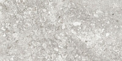 Керамогранит Lunar Grey Light/Лунар Светло-серый MR 120x60