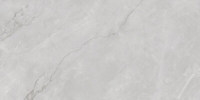 Керамогранит Astonia Silver Glossy Silver Line 60x120