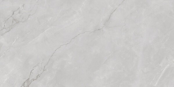 Керамогранит Astonia Silver Glossy Silver Line 60x120