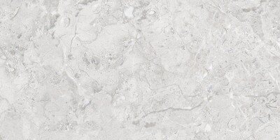 Керамогранит Elegance Grey Glossy Silver Line 60x120