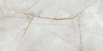 Керамогранит 60120PEC15P Special Marmo Gray полированный 600x1200x7