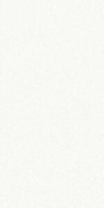 Керамогранит Aplpine White Polished 60х120