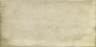 Плитка PT02254 Treviso Blanco 10х20