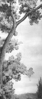 Керамогранит M8ZF Grande Resin Look Grisaille B Bianco Satin 120х278
