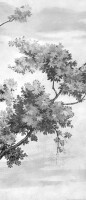 Керамогранит M8ZG Grande Resin Look Grisaille C Bianco Satin 120х278