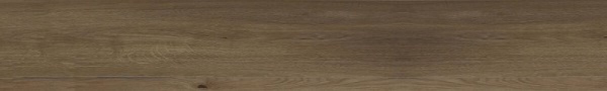 Керамогранит 128422 OAK RET. 20x12