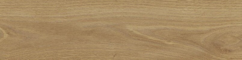Керамогранит Tregui Natural 8х33