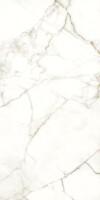 Керамогранит 117782 Emotion Levigato Rettificato 60x120