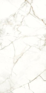 Керамогранит 117782 Emotion Levigato Rettificato 60x120