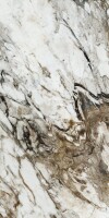 Керамогранит 117428 Fantasy Levigato Rettificato 60x120