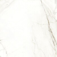 Керамогранит 120357 Emotion Naturale Rettificato 60x60