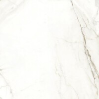 Керамогранит 118712 Emotion Levigato Rettificato 60x60