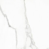 Керамогранит 120359 White Beauty Naturale Rettificato 60x60