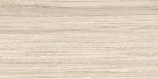 Плитка WT9ESS11 Essense Beige 249*500*85