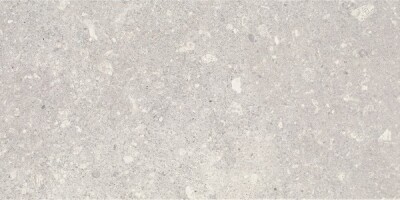 Плитка Aragorn Light Grys 30x60