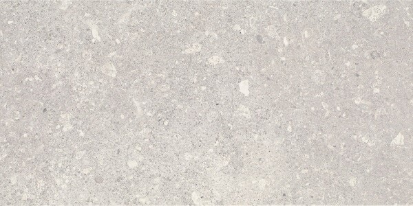 Плитка Aragorn Light Grys 30x60