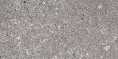 Плитка Aragorn Grys 30x60