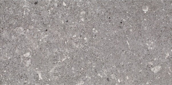 Плитка Aragorn Grys 30x60