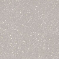Керамогранит Moondust Silver Polpoler 59.8x59.8