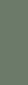 Плитка Nightwish Green Rekt 25х75