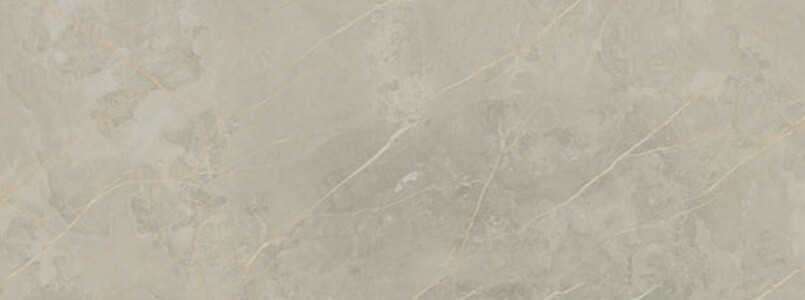 Керамогранит 1320 GRIS PULIDO RECT. 48*128