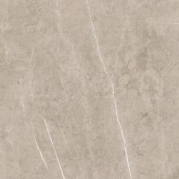 Керамогранит Lyon 9535 Vison 5059 Rectificado 50x50