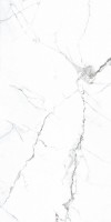 Керамогранит PR206 Colonial White Polished 600x1200