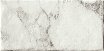 Керамогранит Magistra Classic Paonazzetto 20*40