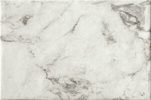 Керамогранит Magistra Classic Paonazzetto 40*60.8