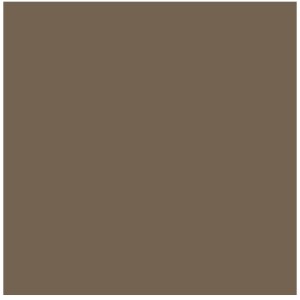 Керамогранит L4429-1Ch Coffee Brown - Loose 10х10