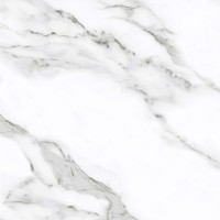 Керамогранит Statuario Eva 600x600