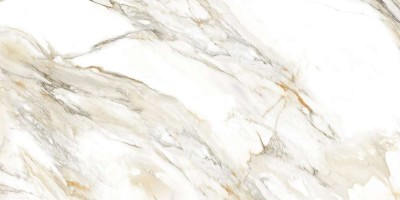 Керамогранит Calacata Paonazzo 1200x600