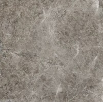 Керамогранит Rudra 8001 Natural 60x60