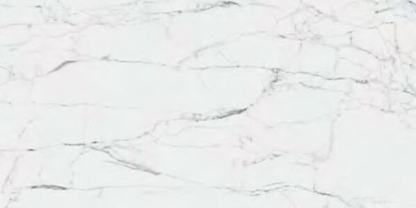 Керамогранит K951844R0001VTEP CityMarble Статуарио Венато Матовый 7Рек R10A 60X120