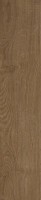 Monocibec Ceramiche Ashley 128965 Nest Nat 23x100