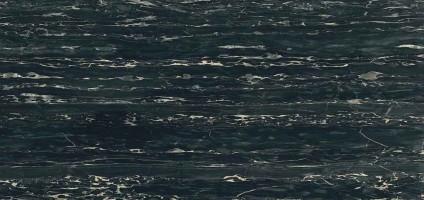 Rex Ceramiche I Classici Di Rex 750914 Portoro Glossy Ret 60x120